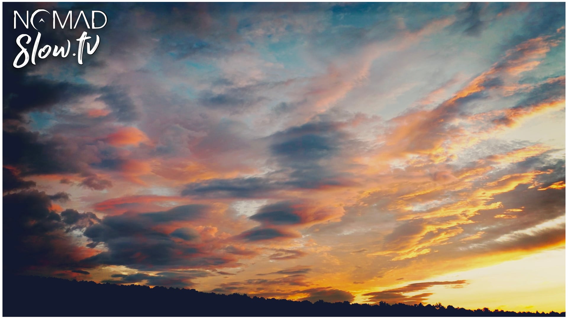 Dunya Sunset Walk - Spring Migration - The Great North Sound Society