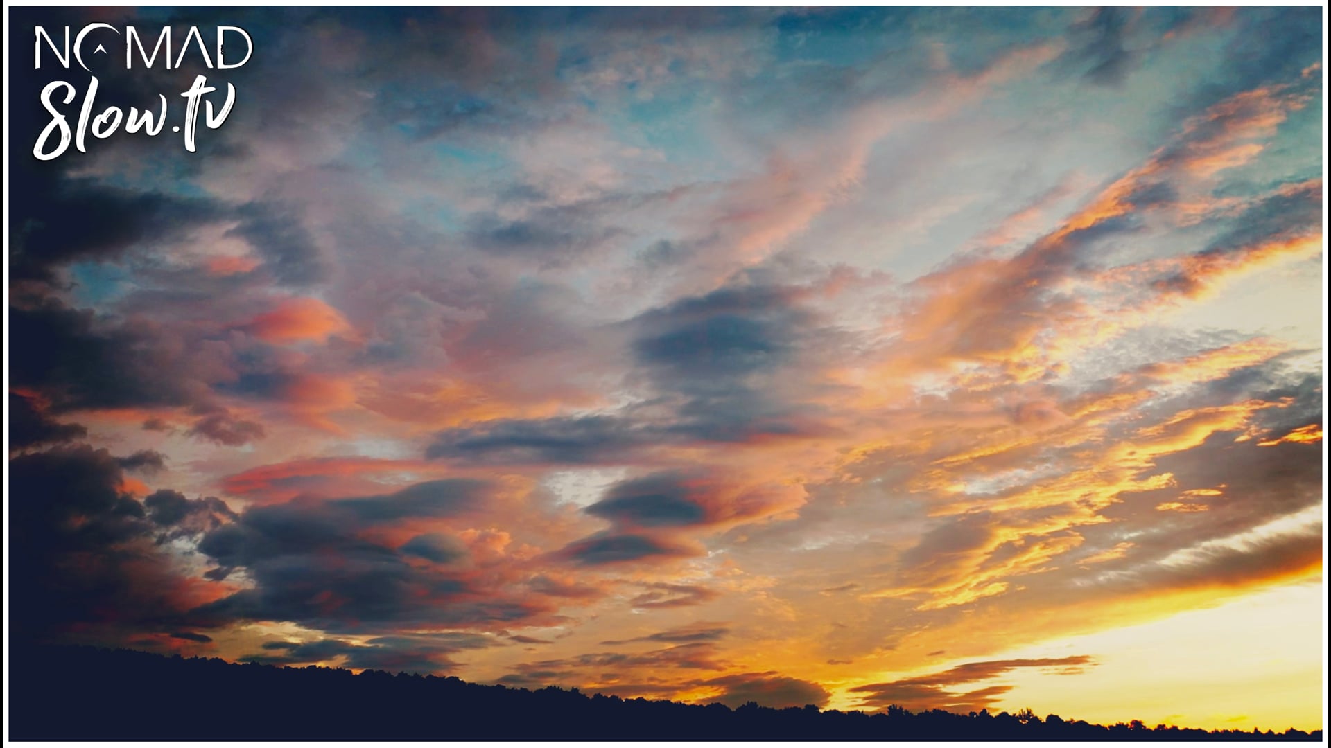 Dunya Sunset Walk - Spring Migration - The Great North Sound Society