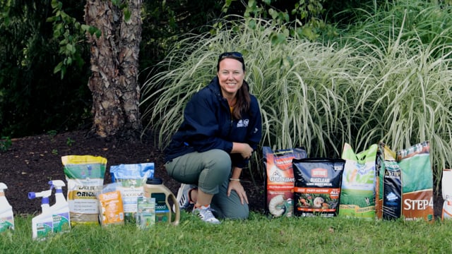 PETITTI Lawn Care in September