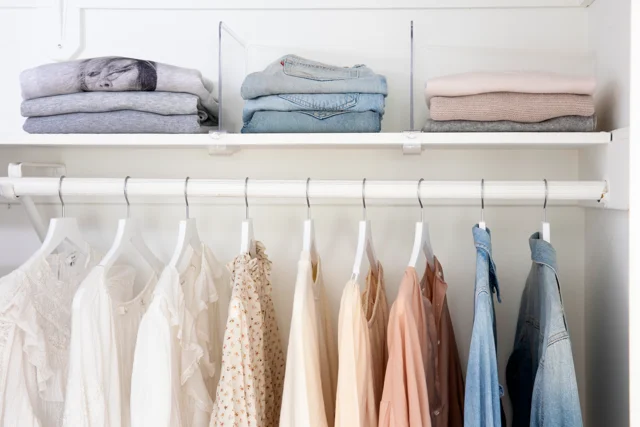 A Closet Makeover: Before and After -- Shira Gill Home