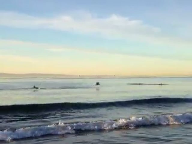 Carpinteria Beach