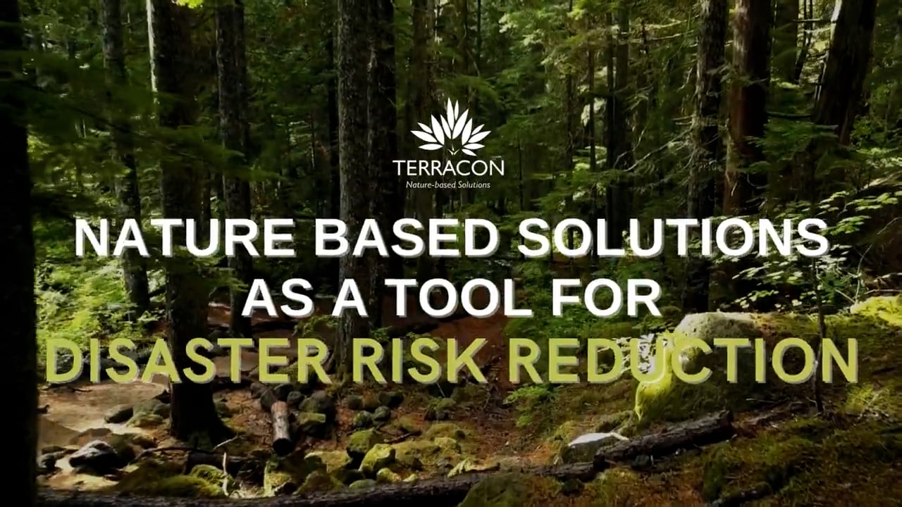 Nature-based Solutions as a tool for Disaster Risk Reduction.mp4
