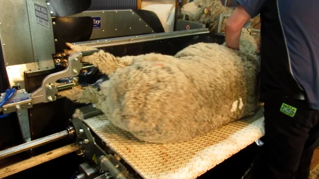 sheep wool cutting machine