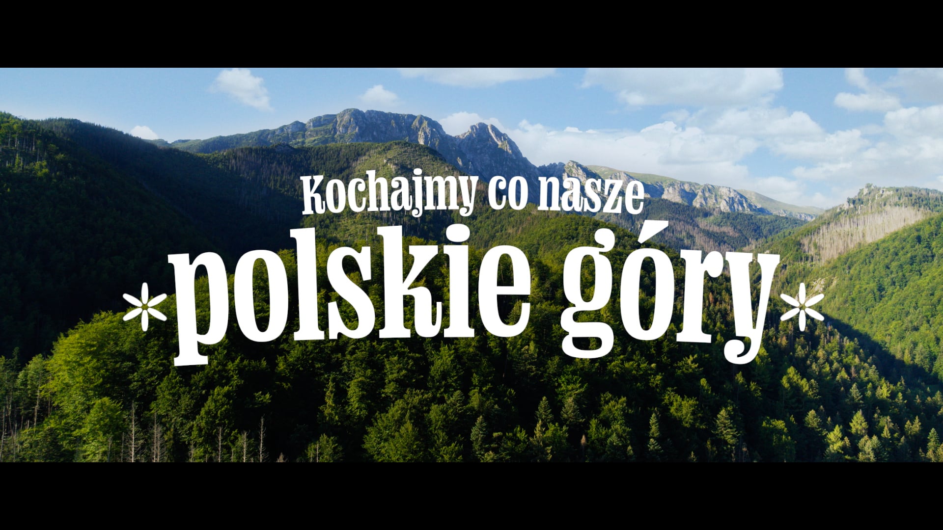 Biedronka - Góry