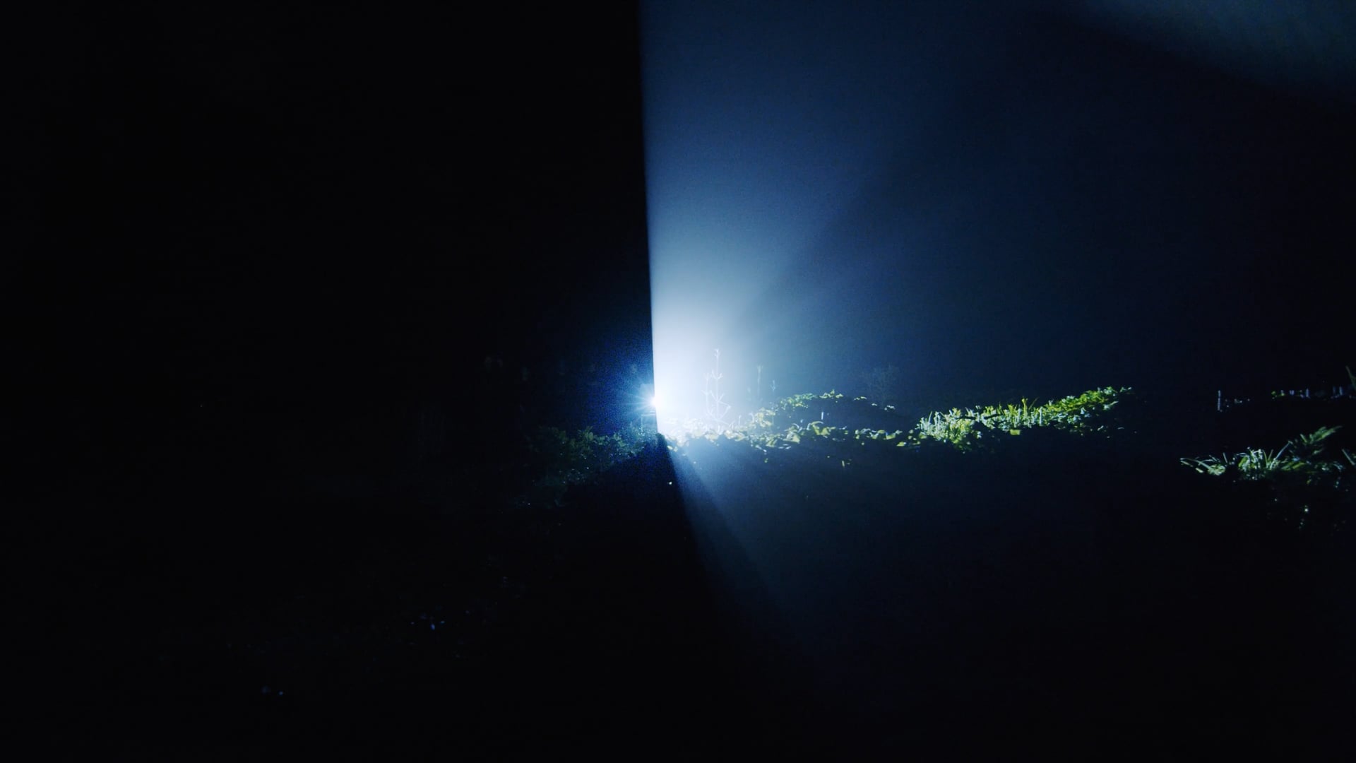 Aftermovie | Light-UP X HKU 2021