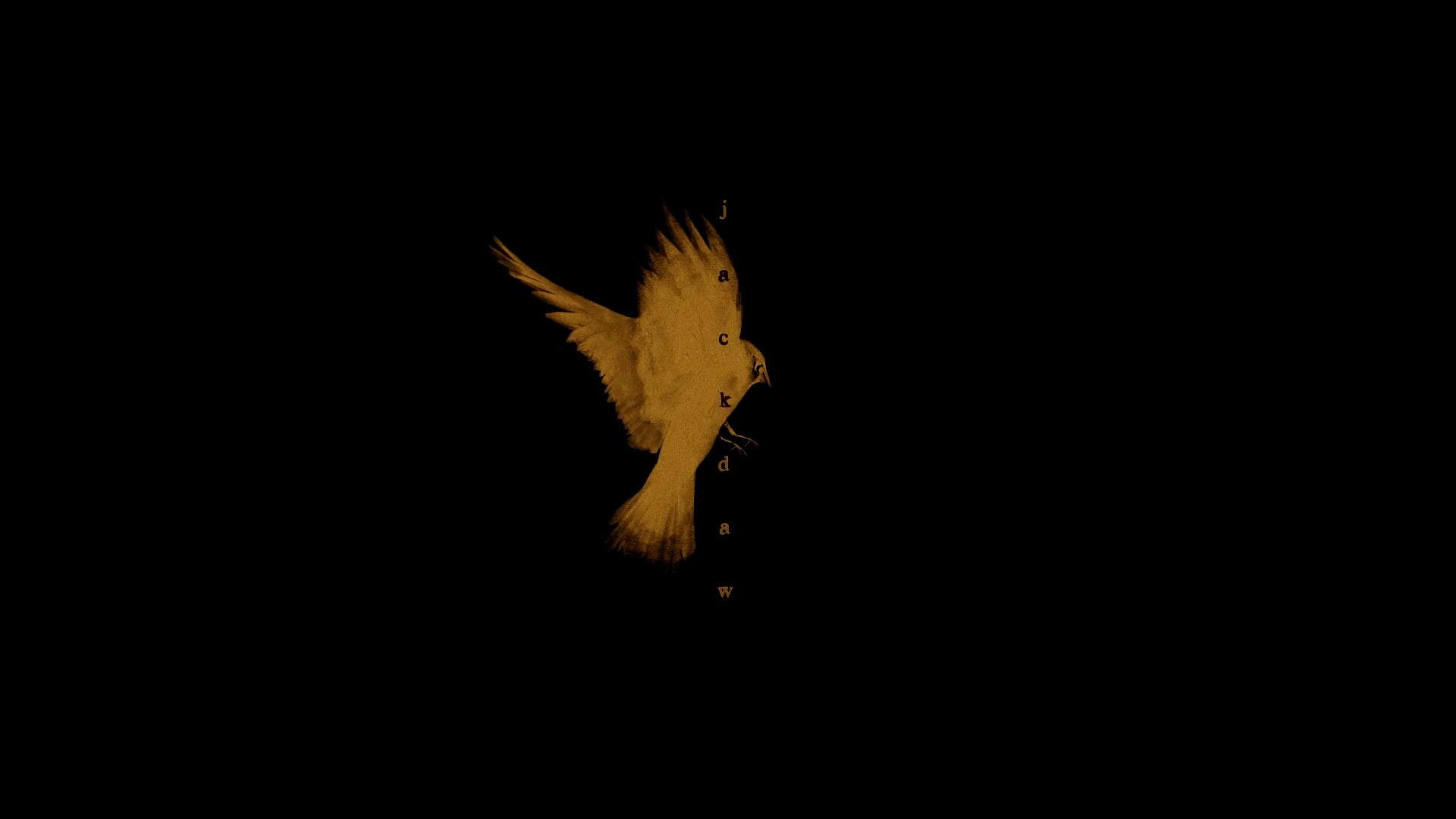 Jackdaw : Trailer