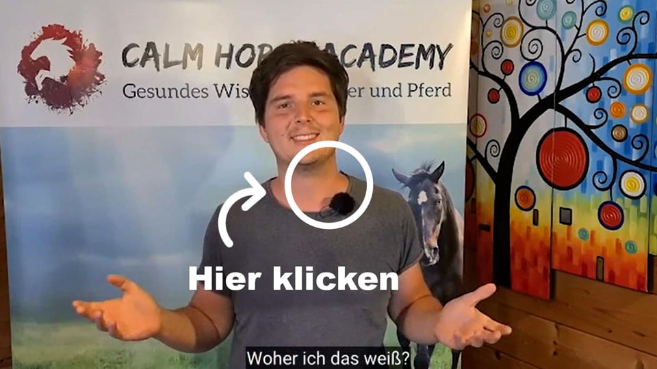 30 Tage Einfang Challenge – Videokurs für Pferdebesitzer
