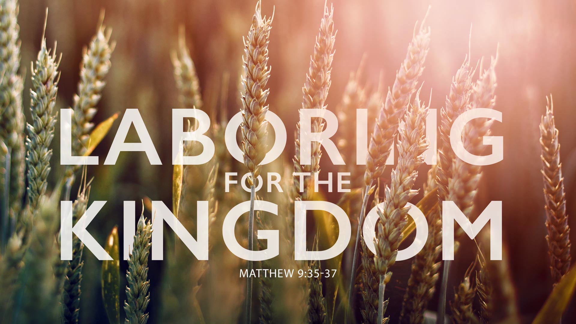 9/05/2021 | Laboring For The Kingdom |  9:30 AM