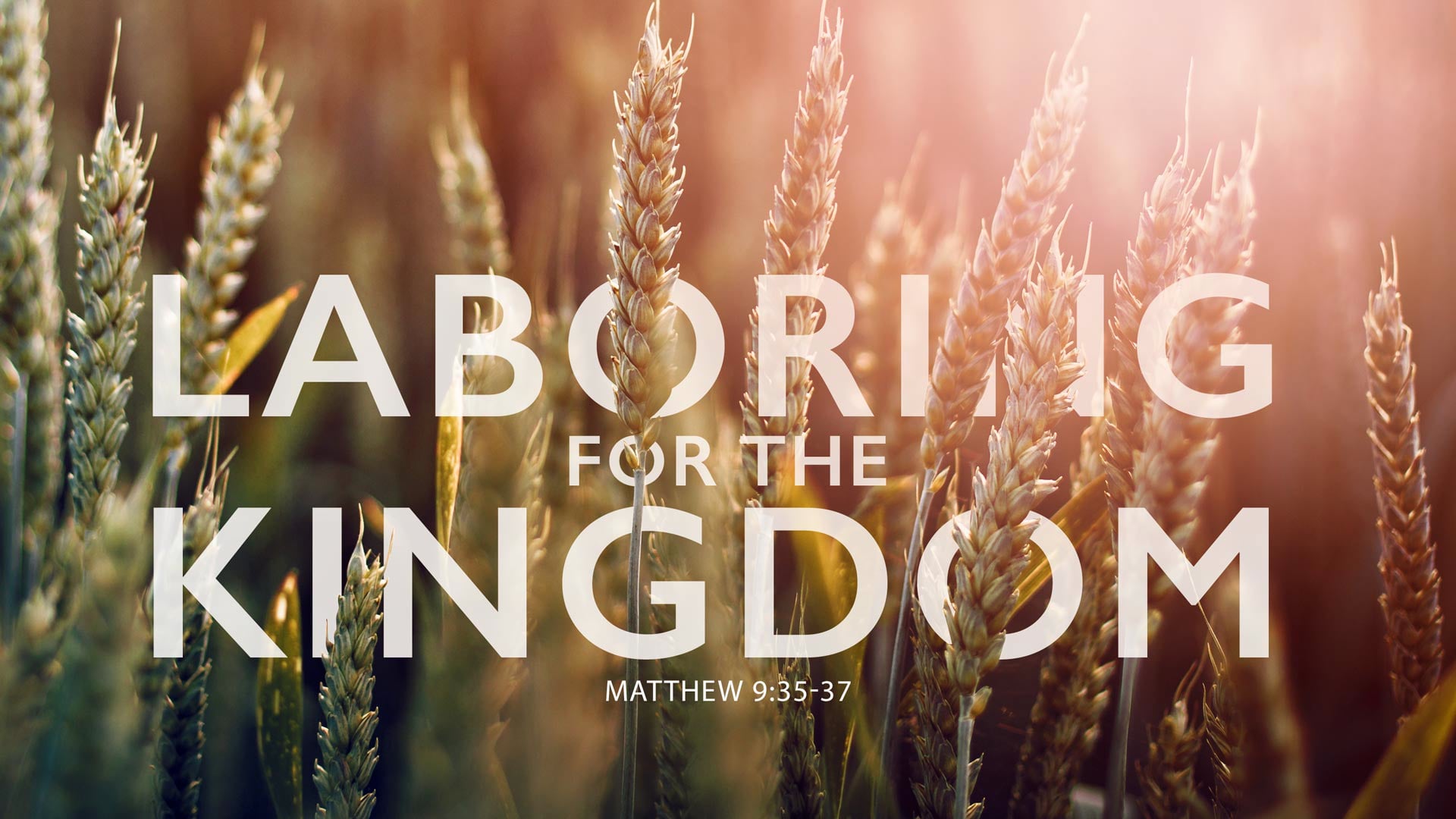 9/05/2021 | Laboring For The Kingdom |  11:00 AM