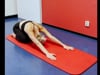 Übung 17: Funktionelle Übungen für WS und Schultergürtel in 4-Füßlerstellung