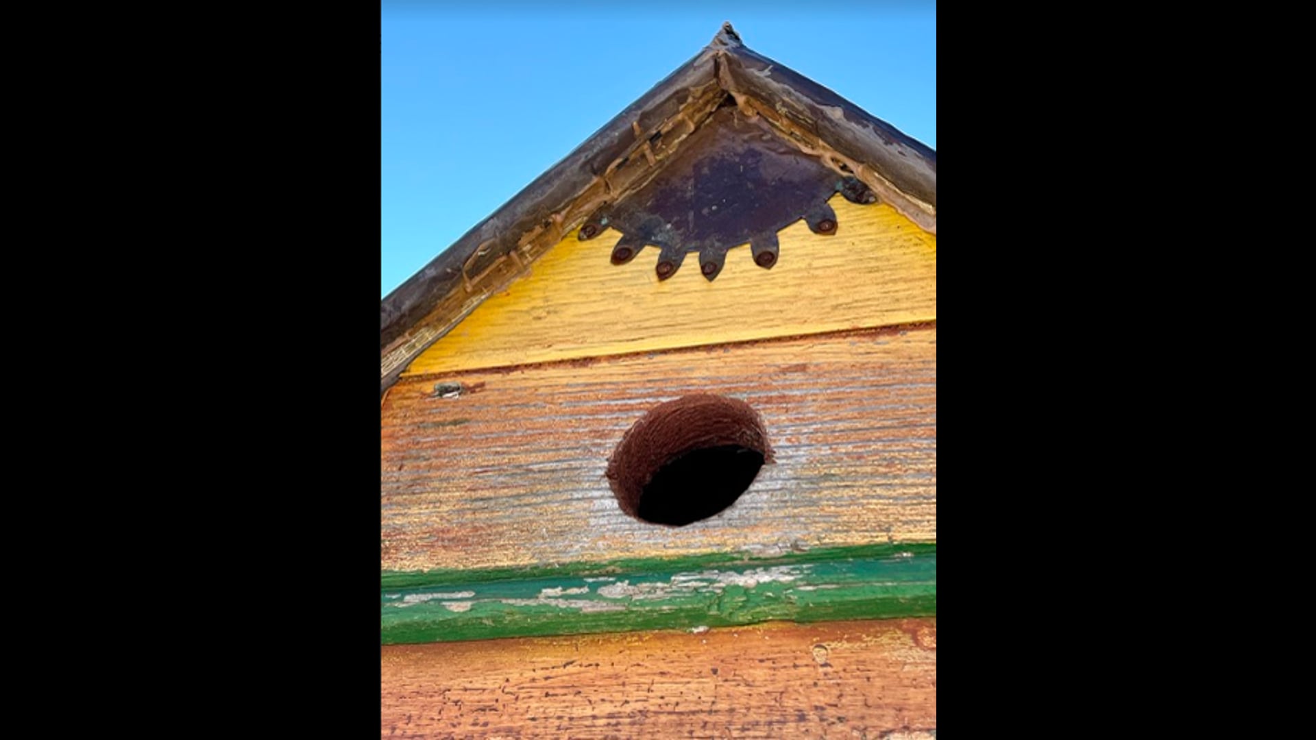 2021 August 03: The Problem with Over Orchestrating our Experience