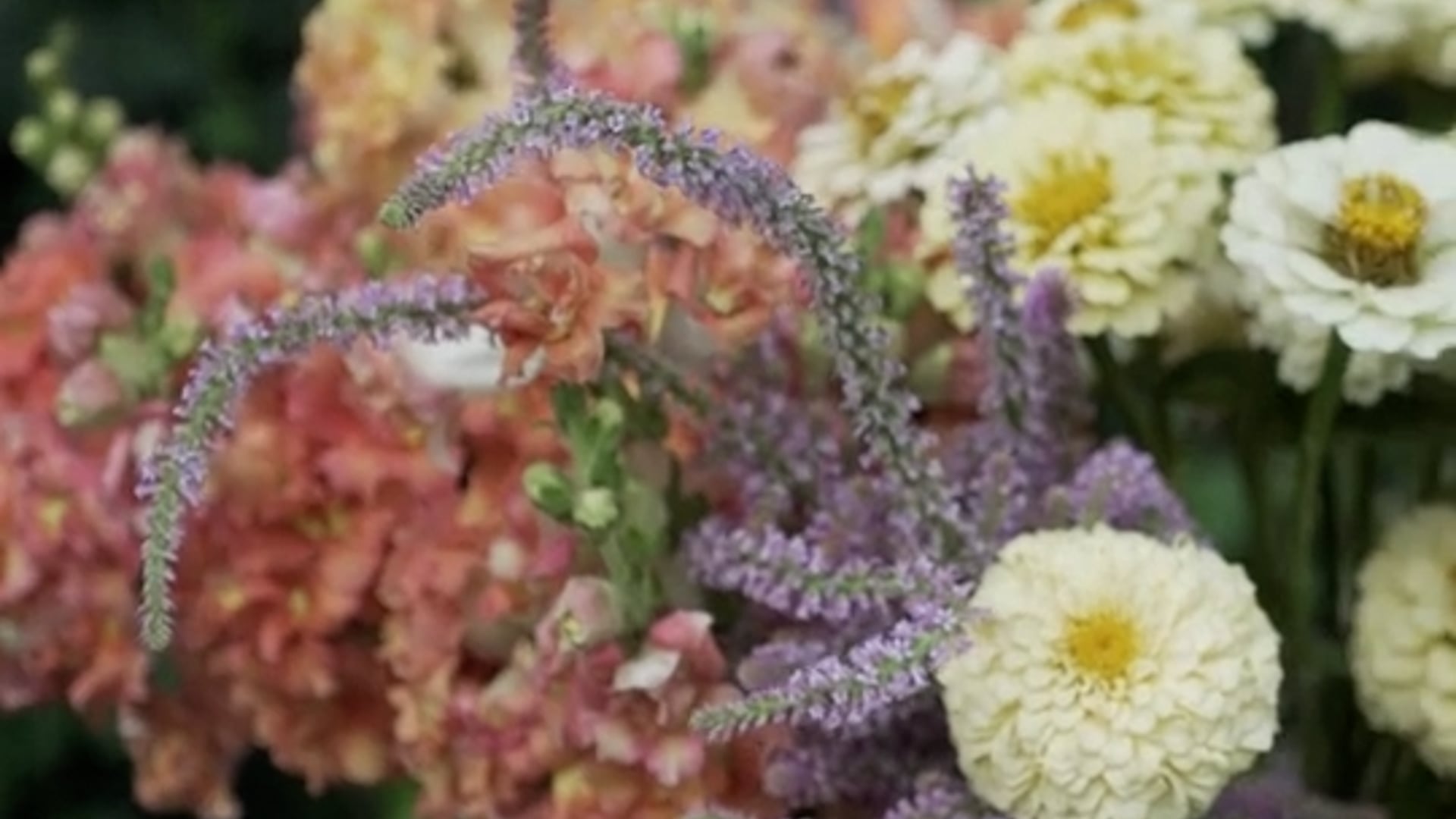 Bridal Shower - Social Media Video