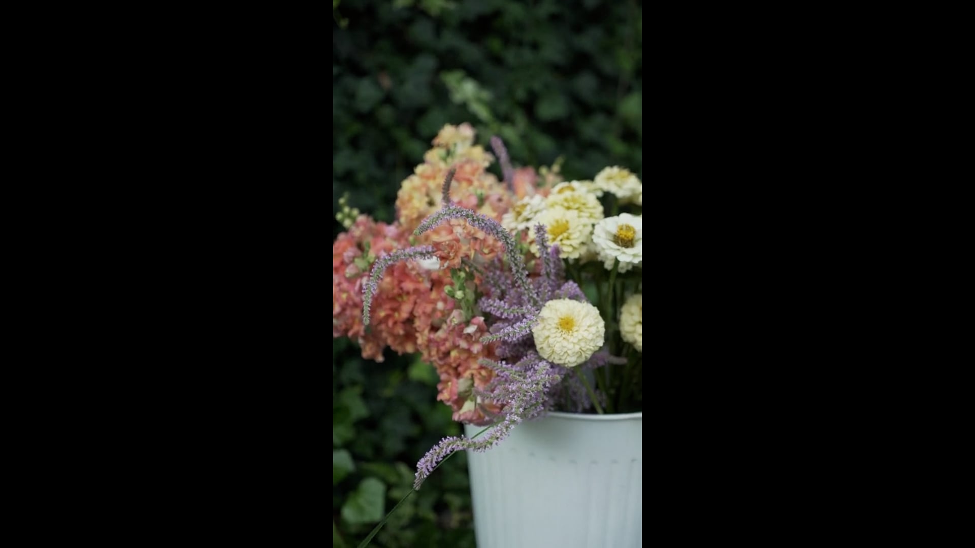 Bridal Shower - Social Media Video