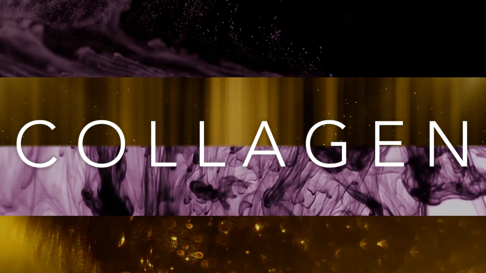 Collagen Explained on Vimeo