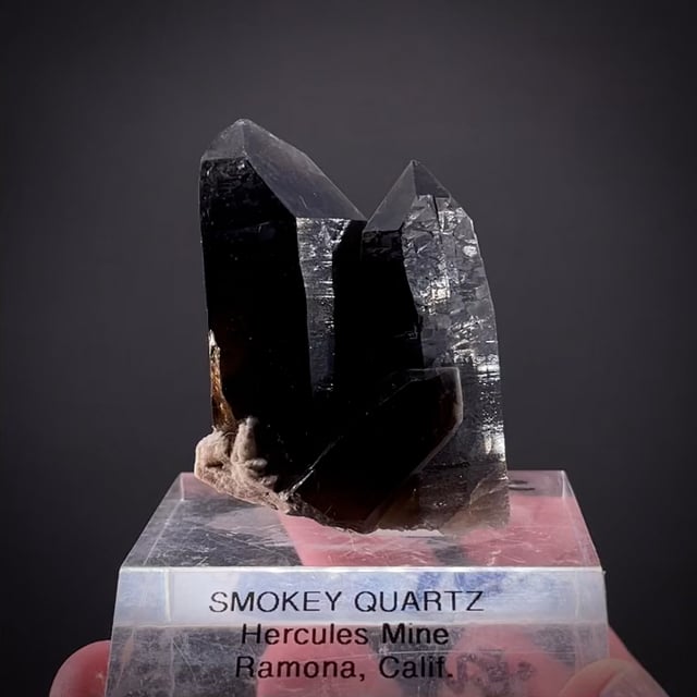 ✨破格✨極上絶品‼️秘蔵品☆アメジスト☆ミニドーム☆ブラジル産☆2080g Gemmy Smoky Quartz xls (RARE) Bill Larson Coll. | Hercules Mine