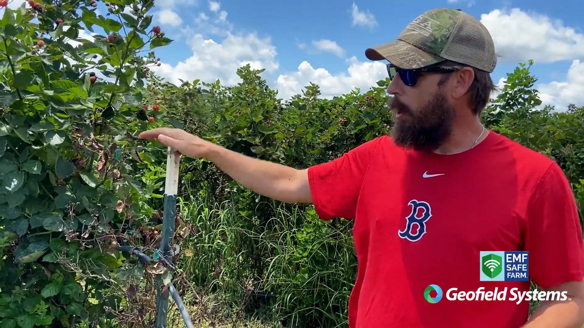 Geofield Interview Blackberry Farmer on Vimeo