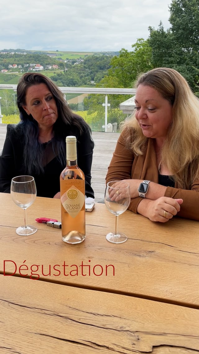 Dégustation de vin rosé