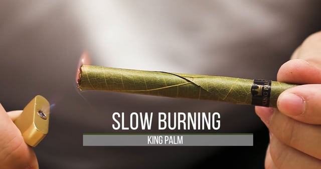 King Palms Slow Burning Mini Rolls