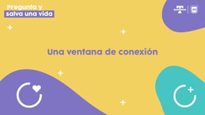 A connection window (spanish)