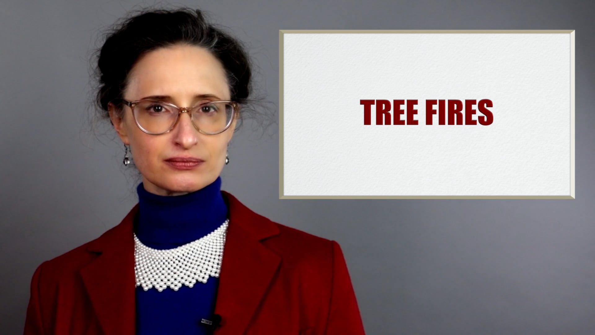 The Vagenda: Tree Fires