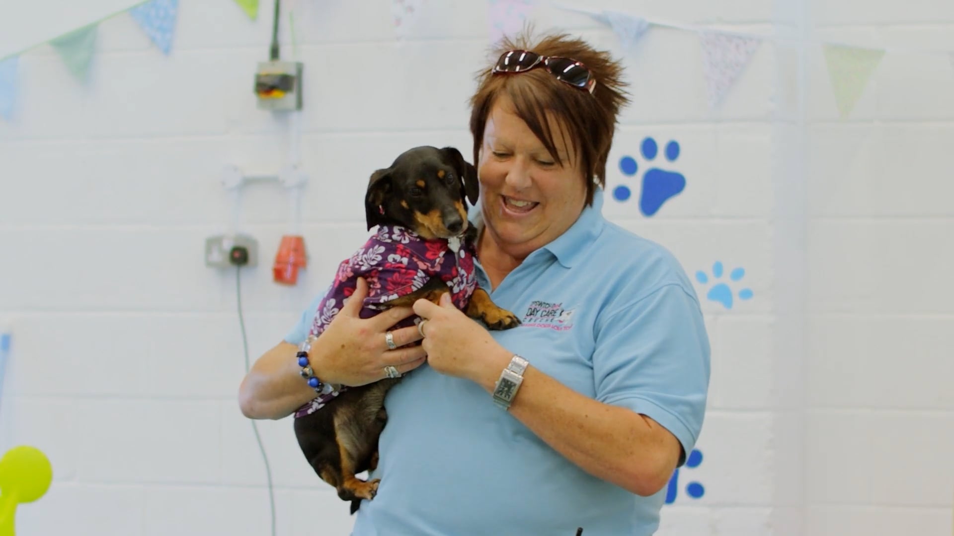 Ipswich Dog Daycare Creche