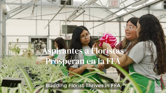 Aspirantes a Floristas Prosperan en FFA SAE (Budding Florist Thrive in FFA SAE)