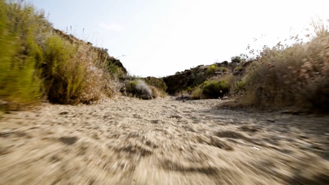 On the Butterfield Overland Trail: Calexico to Oak Grove