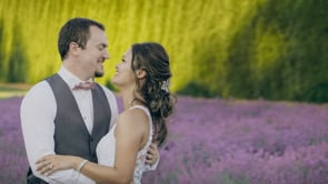 Woodinville Lavender - Redmond, Washington #5