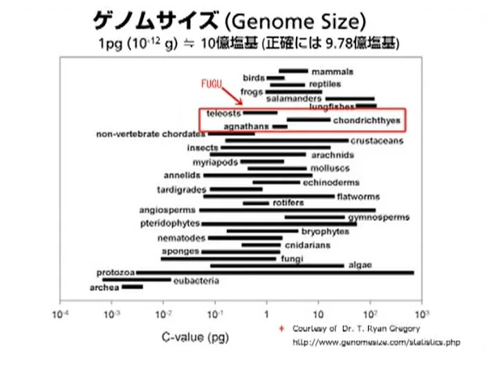 ゲノムとコンピュータ Computational Analysis of Genomes