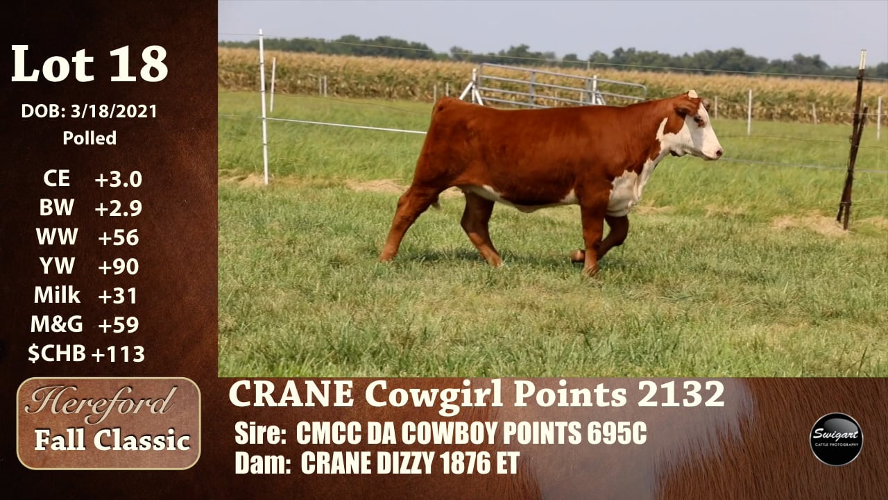 Hereford Fall Classic Lot 18.mp4 on Vimeo