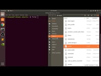 Show Manual Descriptions
