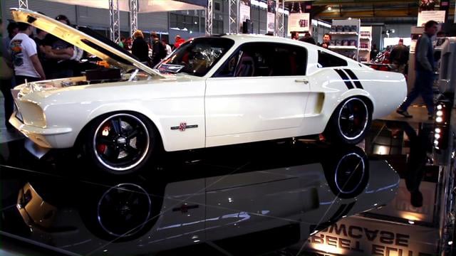 Ziggy's Mustang