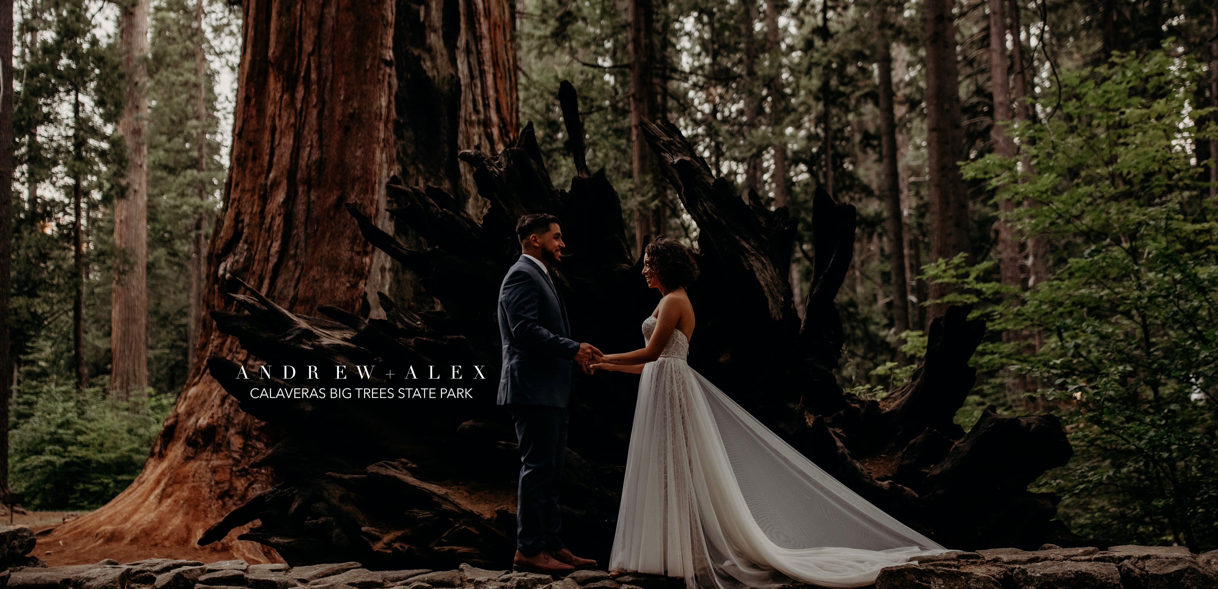 LOVE STORY: Andrew + Alex, Calaveras Big Trees State Park
