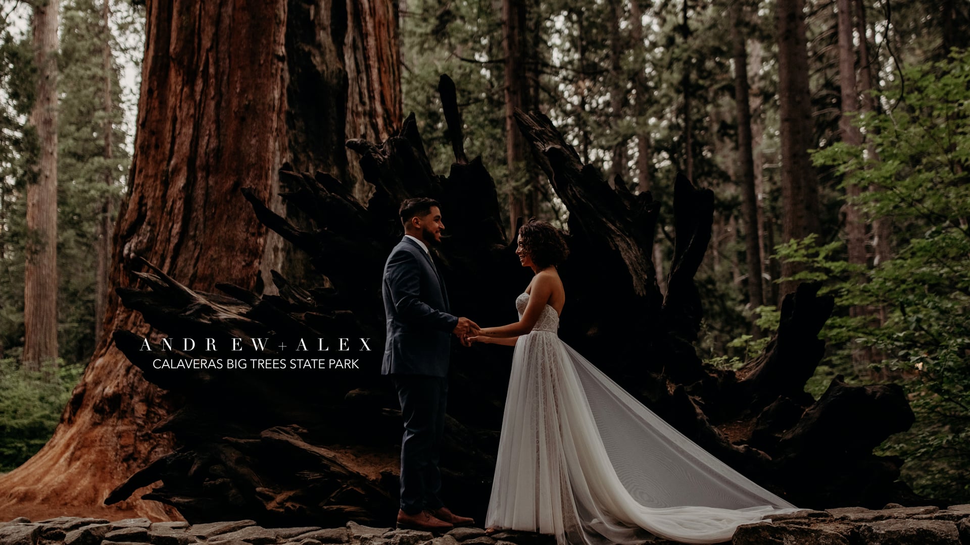 LOVE STORY: Andrew + Alex, Calaveras Big Trees State Park