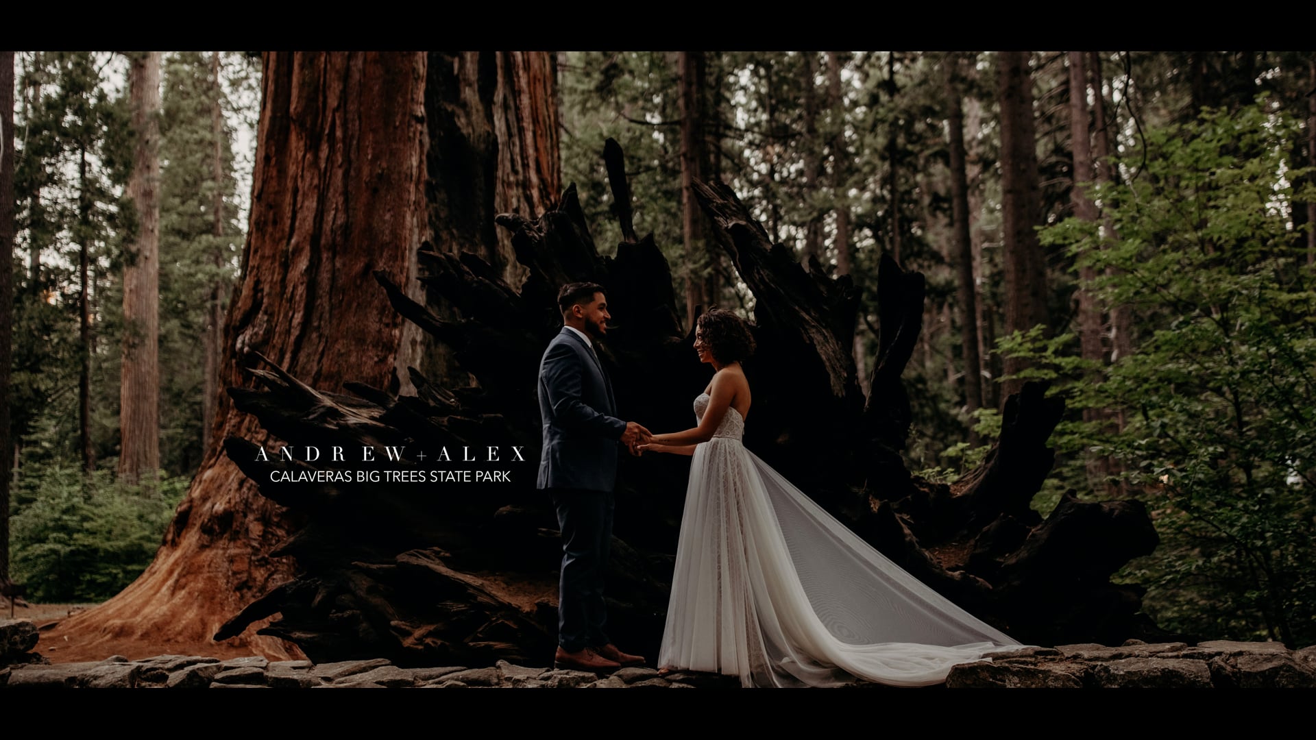 LOVE STORY: Andrew + Alex, Calaveras Big Trees State Park