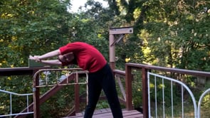 Related Embedded Video Item Thumbnail