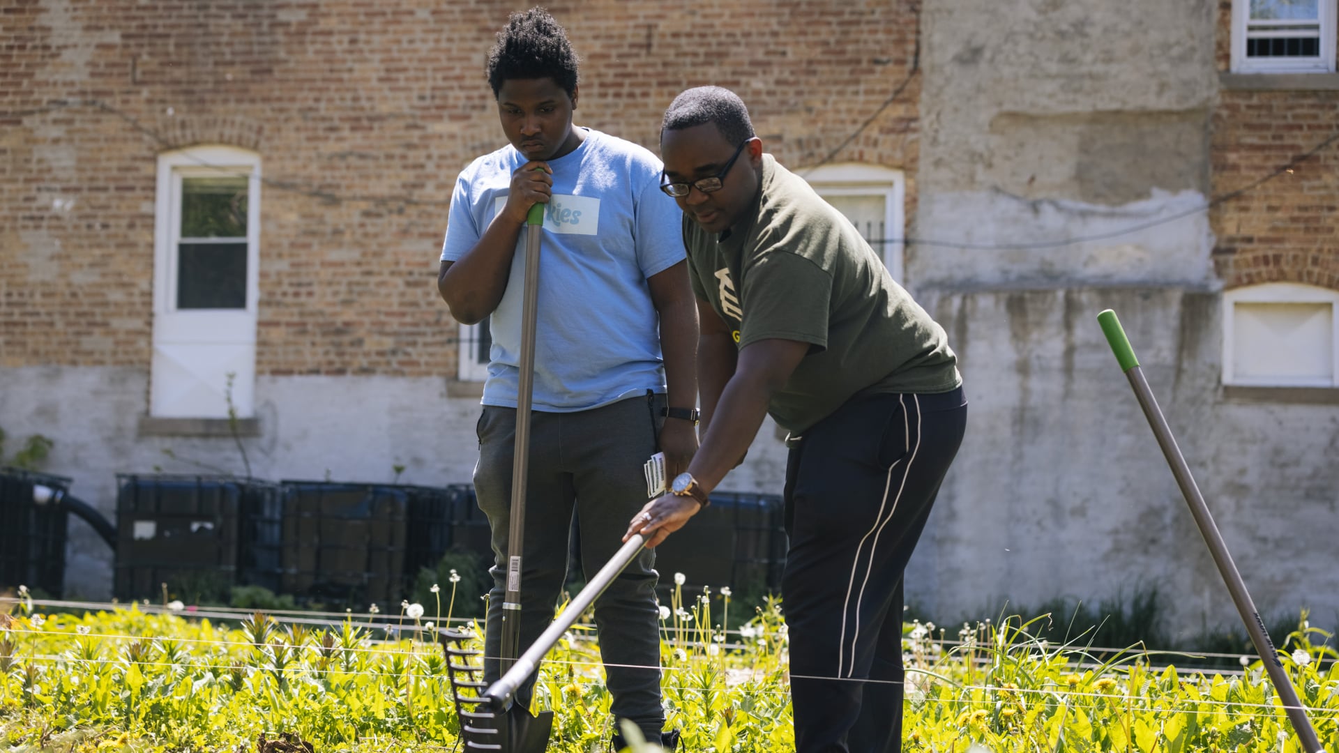 The Urban Flower Farmer Of Chicago Eco
