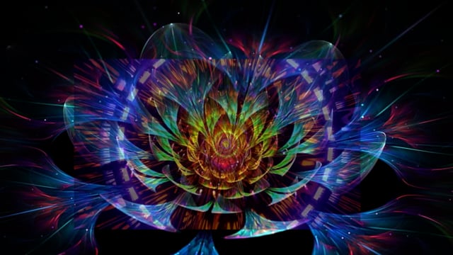 Meditation Relaxing Flower Free Video On Pixabay Meditation Relaxing Flower Free Video On Pixabay