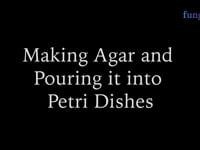 Making Nutrient Agar Petri Dishes for Mushroom Cultivation