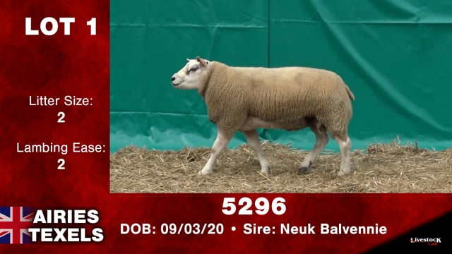 Lot #1 - 5296