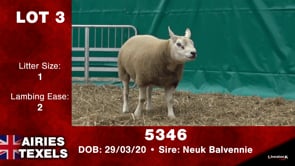Lot #3 - 5346
