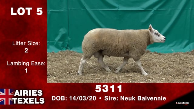 Lot #5 - 5311