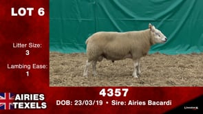 Lot #6 - 4357