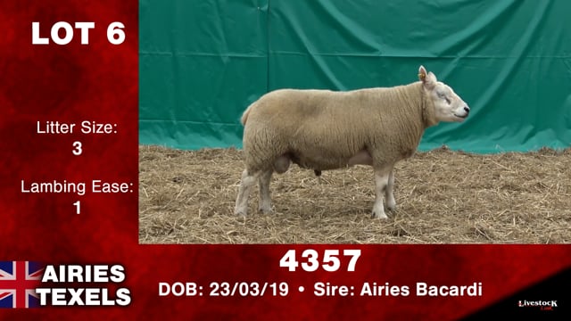 Lot #6 - 4357