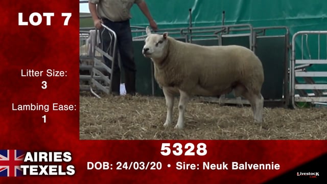 Lot #7 - 5328