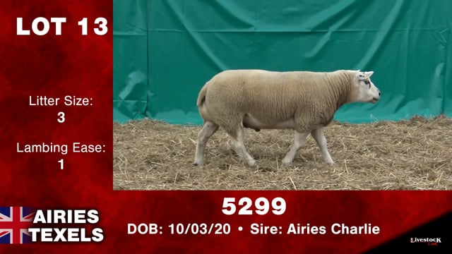 Lot #13 - OUT -- 5299 -- OUT