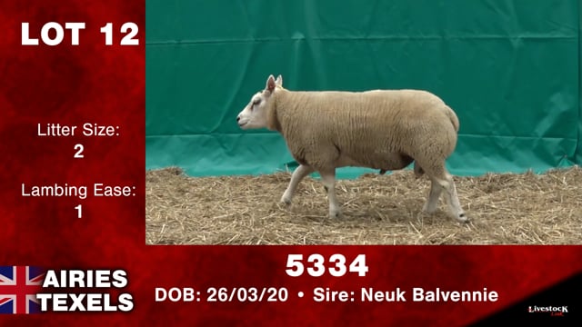 Lot #12 - OUT -- 5334 -- OUT