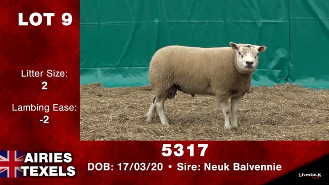 Lot #9 - 5317