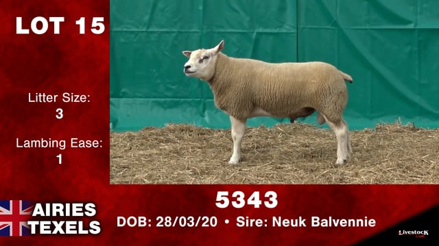 Lot #15 - 5343