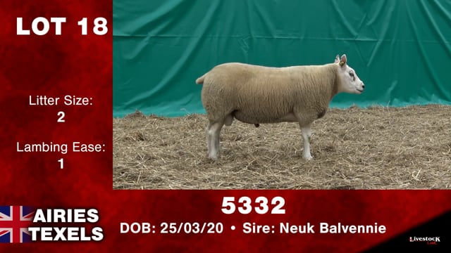 Lot #18 - 5332